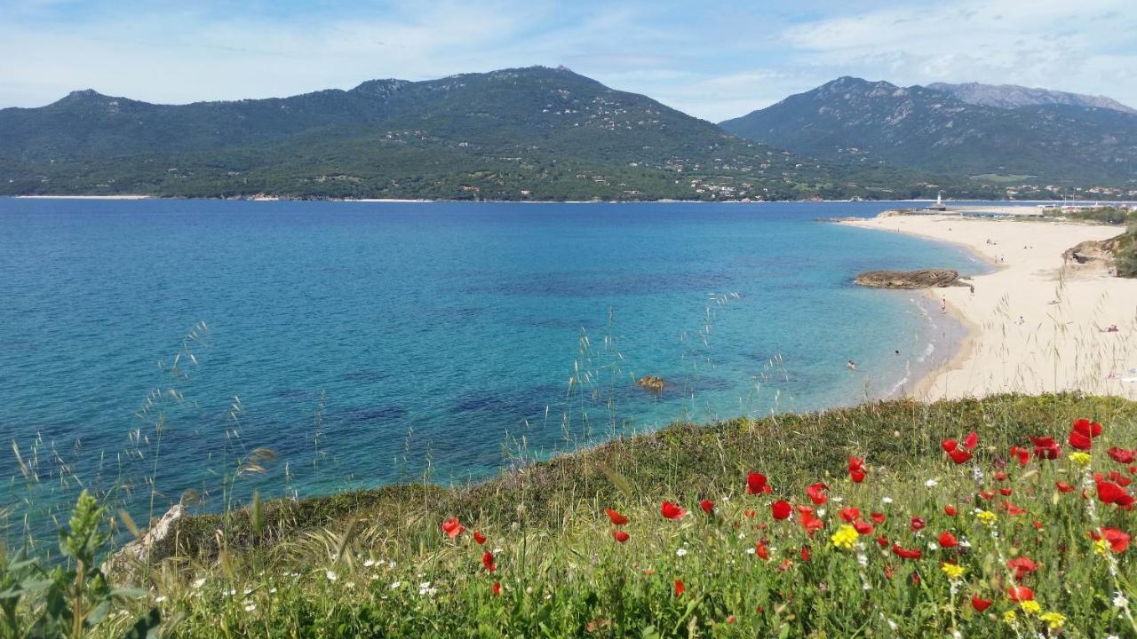 Studio T1 bis vue mer Propriano Propriano  Eksteriør bilde